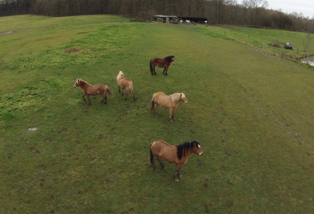 DJI00039