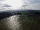 DJI00016.jpg