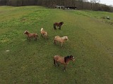 DJI00039.jpg